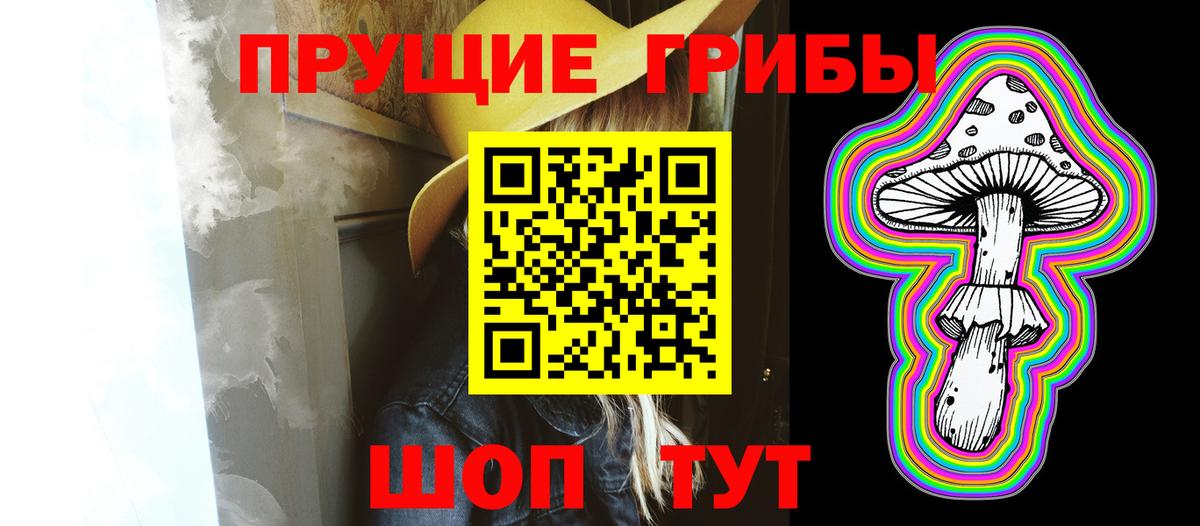 Псилоцибиновые грибы прущие грибы Лабинск